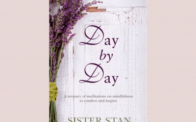 Day by Day Sr. Stan (Paperback)