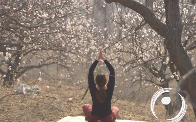 Spring Renewal: Hatha and Restorative Yoga with Sophia April 2024